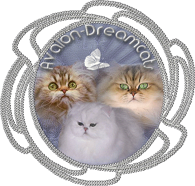 Textur25