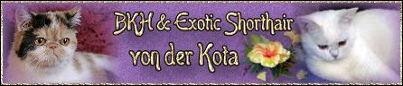 Textur35