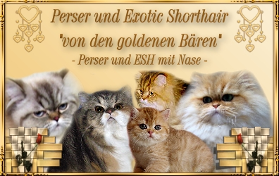 Textur46