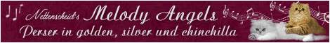 Textur54